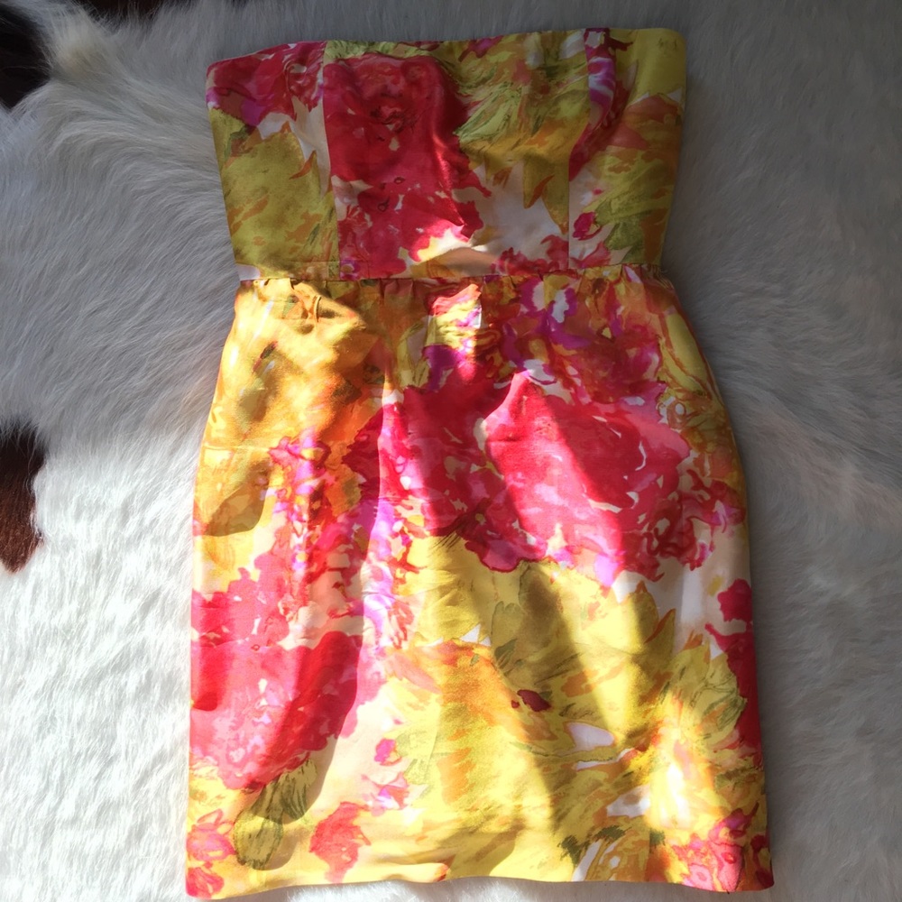 J. Crew Dress